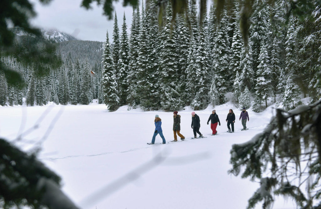 Explore The Ultimate Ski Trip With The Powder Highway - West Coast ...