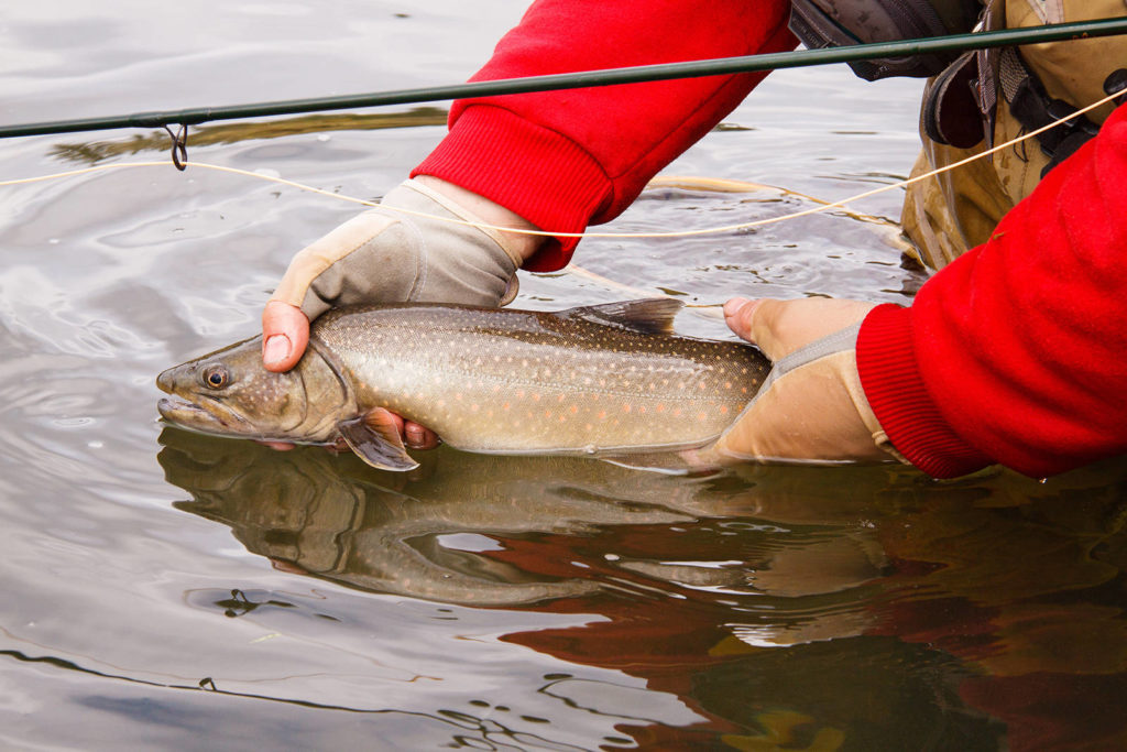 Casting for an Alberta fishing getaway West Coast Traveller