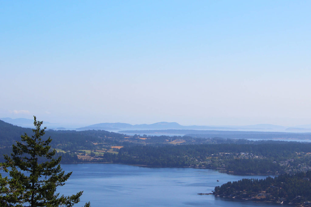 Window on the West Coast: Malahat Skywalk gives a bird’s-eye view of ...