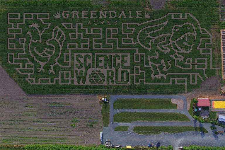 Corn maze design features T. rex as Science World partners with