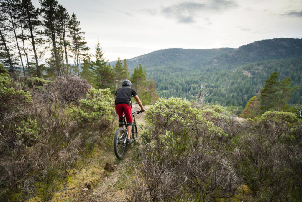 Sooke trails inspire: on foot, bike, or horse! - West Coast Traveller