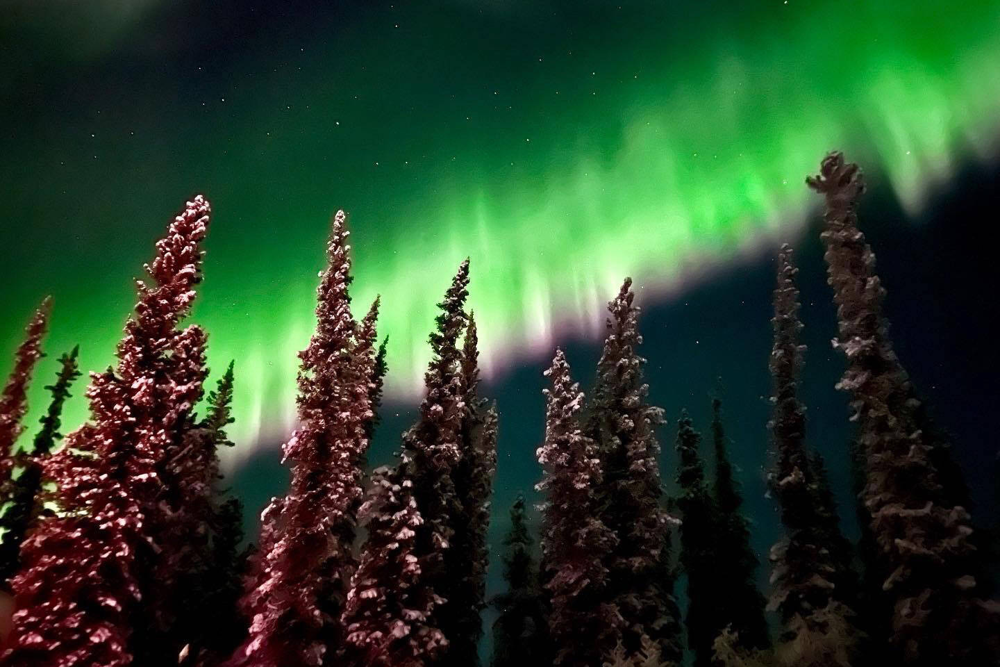 NWT named one of the top travel destinations in North America for 2024