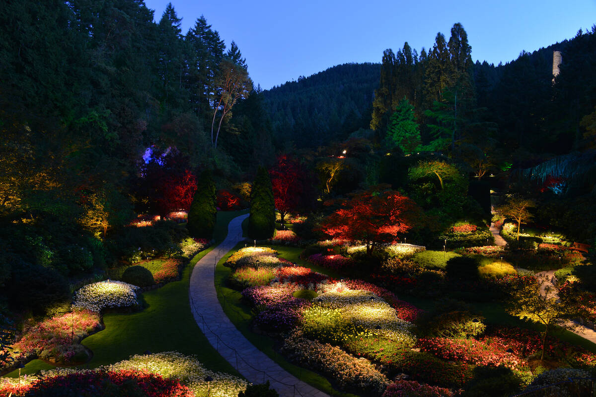 Dramatic light display kicks off summer at Victoria’s Butchart Gardens ...