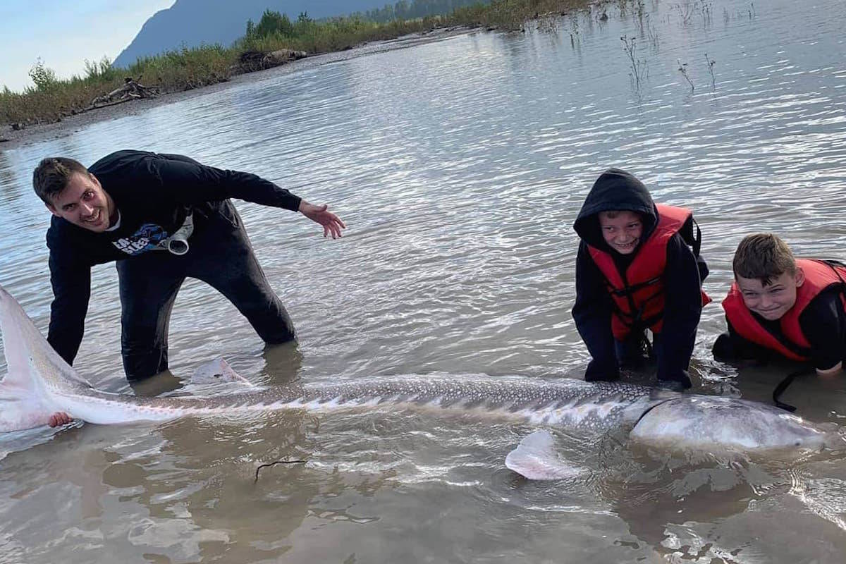 Chilliwack family recounts ‘experience of a lifetime’ catching sturgeon ...