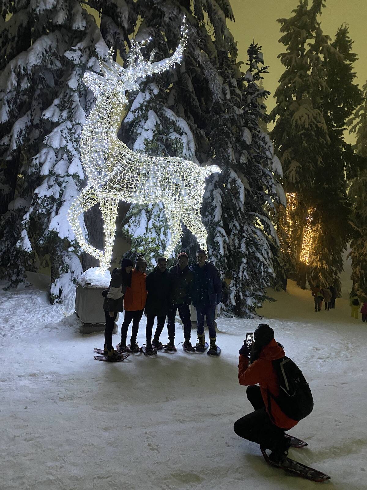 Santa, skating, Light Walk + more: Tips to enjoy Grouse Mountain's Peak ...