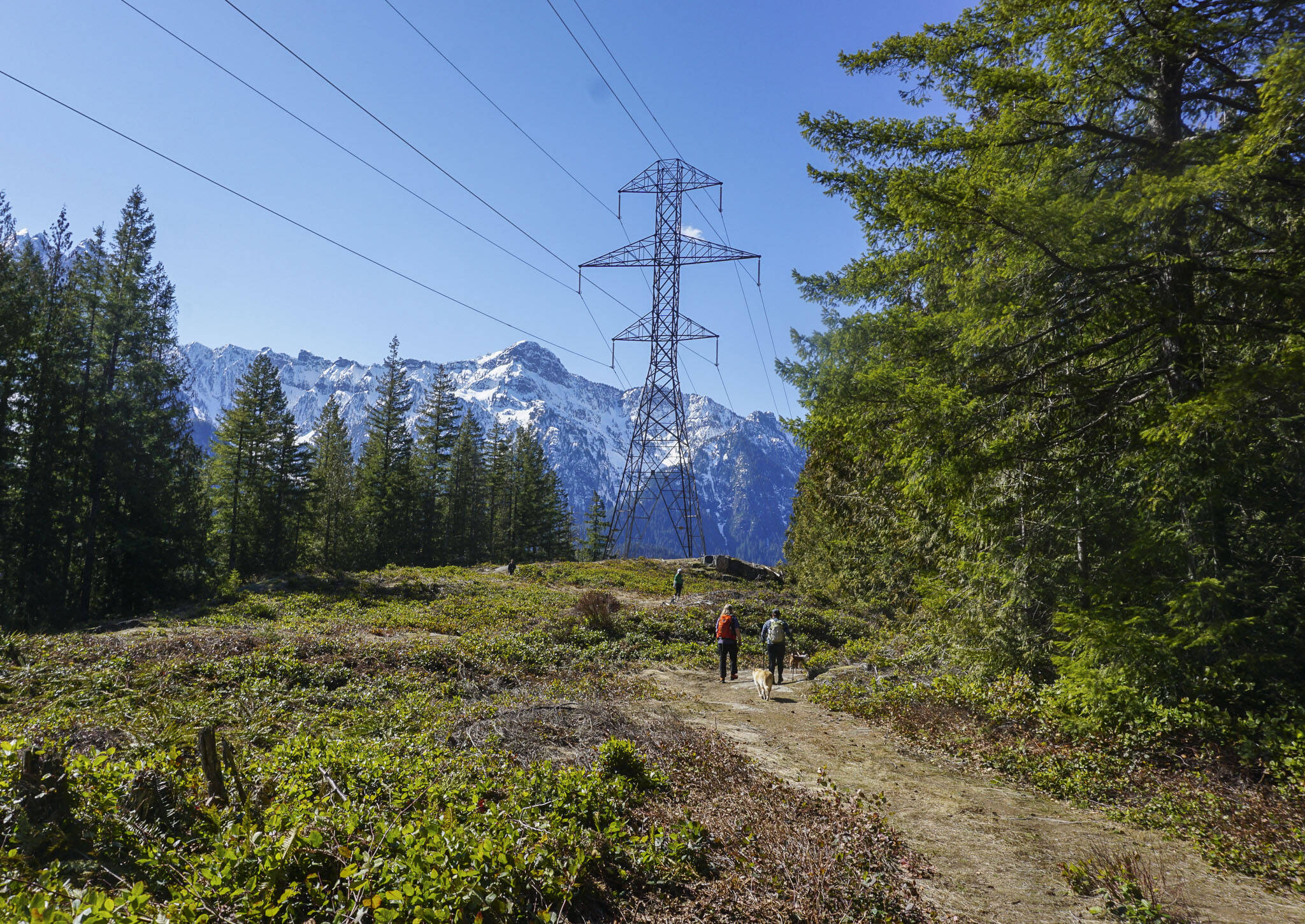 Heybrook Ridge View ‘It took my breath away’: Lace up your hiking boots because spring is ...
